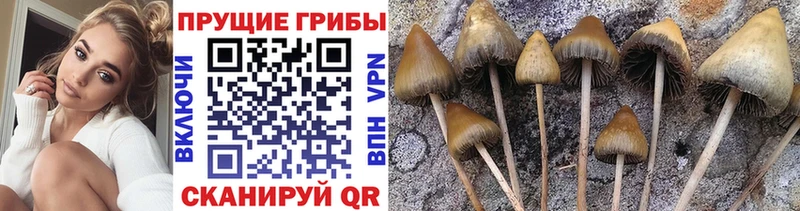 даркнет какой сайт  Петухово  Псилоцибиновые грибы мухоморы  что такое  