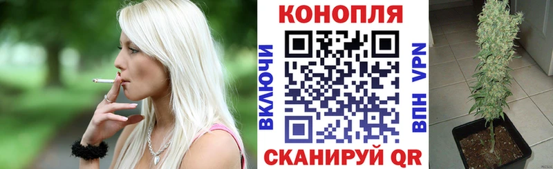 МАРИХУАНА конопля Петухово